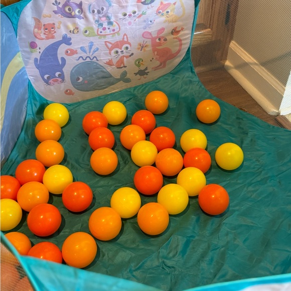 Ball Pit - Picture 2 of 6